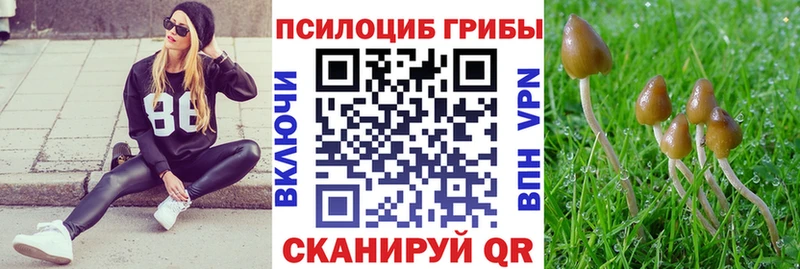 Купить Инсар Галлюциногенные грибы Cubensis