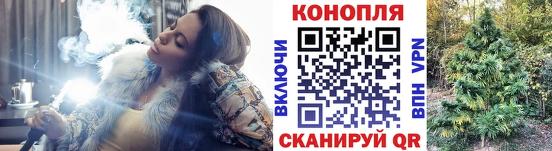 Каннабис OG Kush Инсар